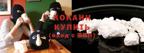индика Сафоново