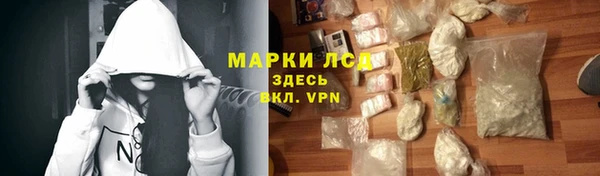 индика Сафоново