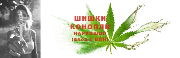 индика Сафоново