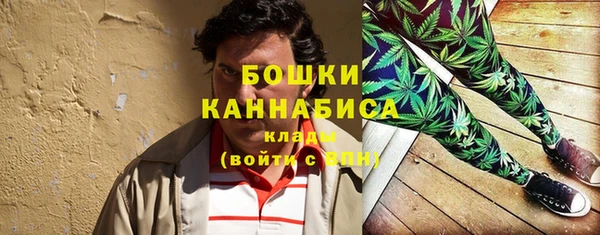 индика Сафоново