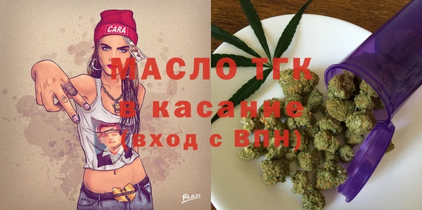 индика Сафоново