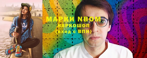 индика Сафоново