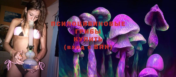 индика Сафоново