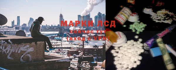 индика Сафоново