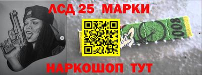 стаф Владимир