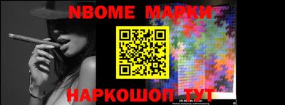 стаф Владимир