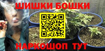 стаф Владимир
