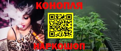 стаф Владимир