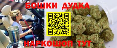 стаф Владимир