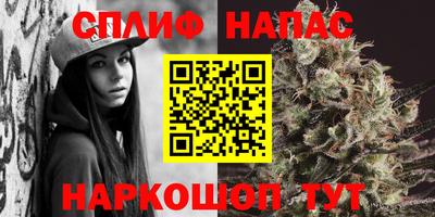 стаф Владимир