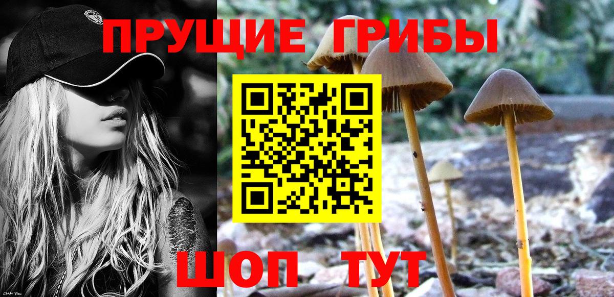 Новокузнецк  Галлюциногенные грибы мицелий  Вход с VPN  Псилоцибиновые грибы Psilocybe 